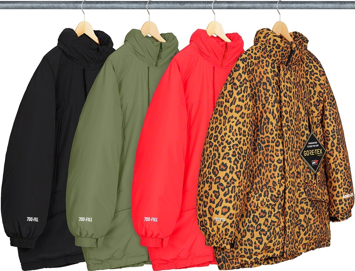 GORE-TEX 700-Fill Down Parka